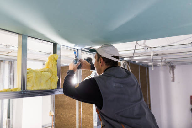 Trusted Forsyth, GA Insulation Contractor Experts