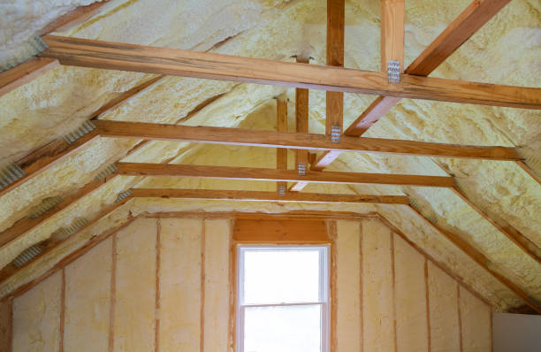 Best Cellulose Insulation in Forsyth, GA