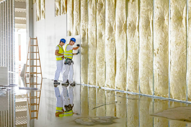 Best Geographic-Specific Insulation Services in Forsyth, GA